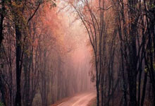 欧博官网体育：[CBA]王岚嵚突破送助攻 韩德君跟进单手暴扣.